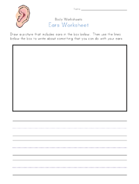 body Worksheets for Kids