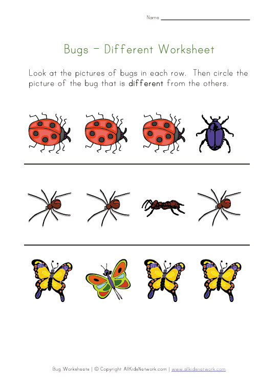 Bugs Worksheet - Recognize Different Insects