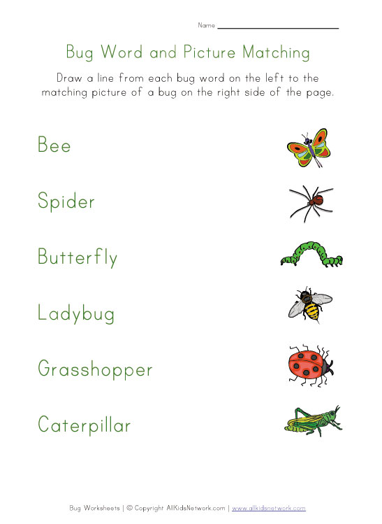 Bugs Matching Worksheet