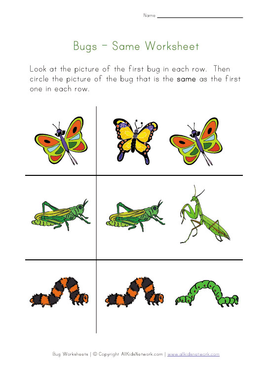 Printable Bug Worksheets for Kids