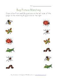 Bug Worksheets for Kids