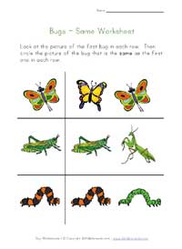 bugs worksheet - same