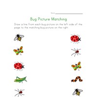 Bug Worksheets for Kids | All Kids Network