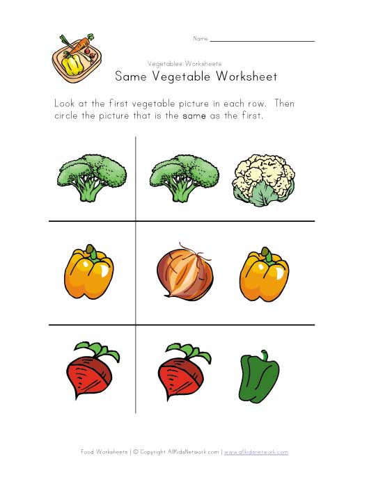 same vegetable