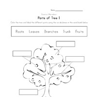 Plant Worksheets | All Kids Network