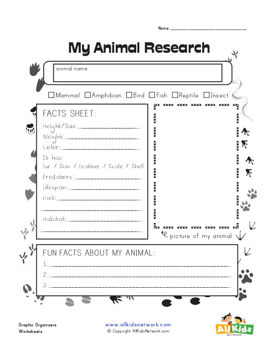kindergarten worksheet animal research Graphic Organizer Kids Network Animal Research All