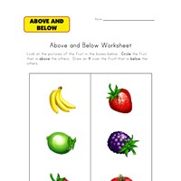 Above and Below Worksheets | All Kids Network