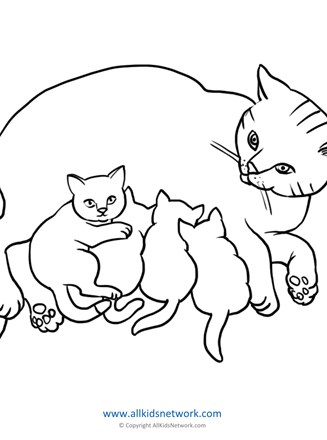 4400 Collections Cat Coloring Pages For Kindergarten  Best HD