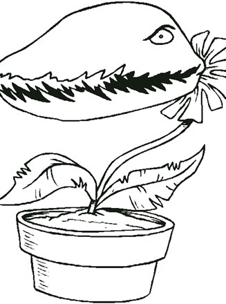 venus coloring pages