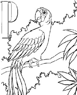 color alphabet p coloring page