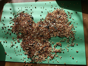 toddler bird craft