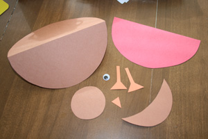bird craft materials