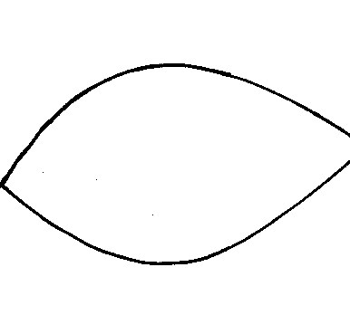 poinsetta templates