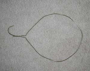 kids butterfly net craft