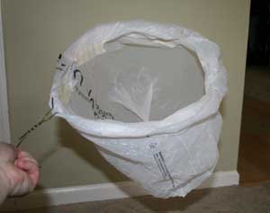 butterfly net craft
