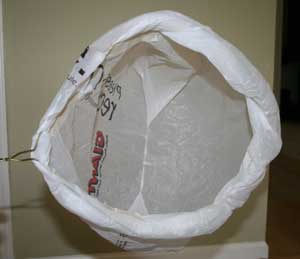 homemade bug catcher craft