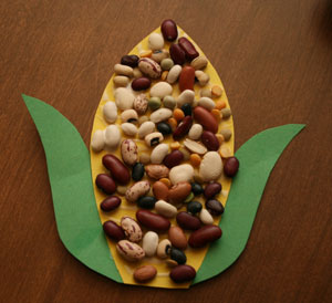 dried bean indian corn craft