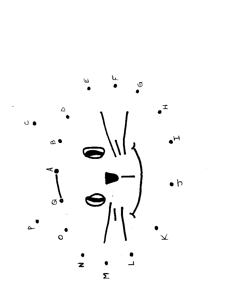cat alphabet dot to dot