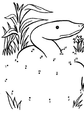 Connect The Dots Snake
