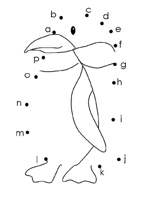 Abc Book Template