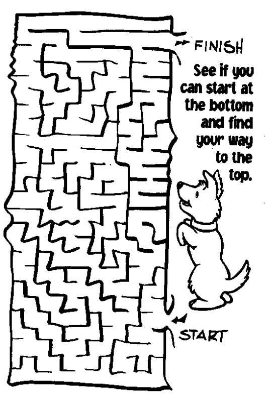 Dog maze Activity: for kids ages 3-6 4-8 4-9 for gorl for boy education  activity