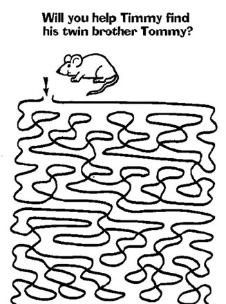 Maze Mice