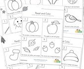 colors worksheet reading comprehension worksheets