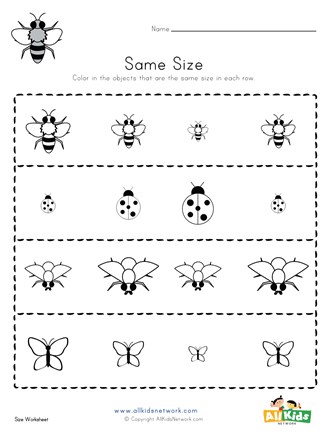 Bug Size Worksheet | All Kids Network