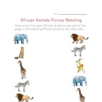 Animals Worksheets - African Animals | All Kids Network