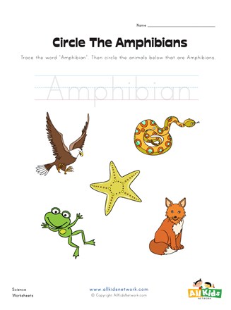 Circle the Amphibians Worksheet | All Kids Network