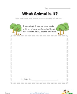 What Animal is it?  Woodpecker Worksheet