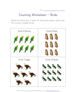 birds counting worksheet