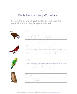 birds handwriting worksheet