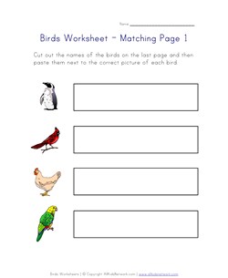 birds matching worksheet