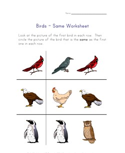 same birds worksheet