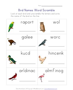 birds word scramble worksheet