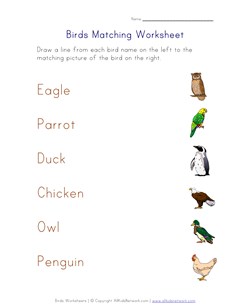 matching birds worksheet