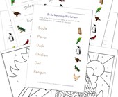 Birds Worksheets