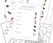facts about animals worksheet Birds Worksheets