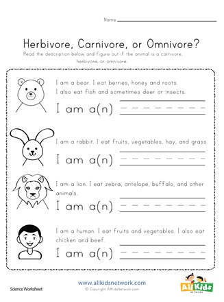 Herbivore Carnivore or Omnivore? | All Kids Network