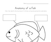 ocean animals worksheets all kids network