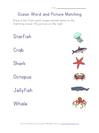 Ocean Life Matching Worksheet | All Kids Network