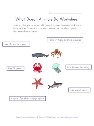 ocean life worksheet for kids all kids network