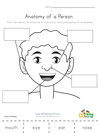 Label the Face Cut and Paste Worksheet | All Kids Network