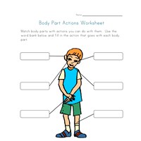 body worksheets for kids all kids network
