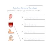 body worksheets all kids network