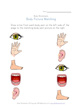 Body Parts Worksheet / Body Parts Esl Vocabulary Worksheets / Guess your opponent's mystery monster before your opponent guesses yours.