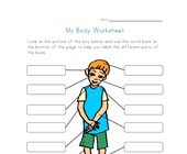 body worksheets all kids network