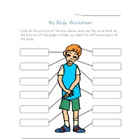 body worksheets for kids all kids network