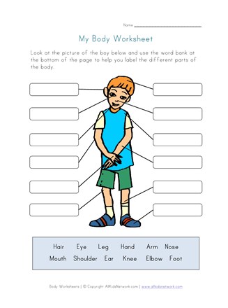 body parts worksheet for kids all kids network